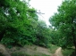 Rezervatia naturala Arboretul de Castan Comestibil