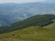 Rezervatia naturala Izvoarele Corbii Ciungi - corbii-mari